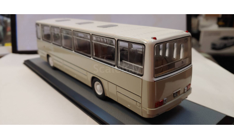 Ikarus 260.01 кварцевый, масштабная модель, DEMPRICE, scale43