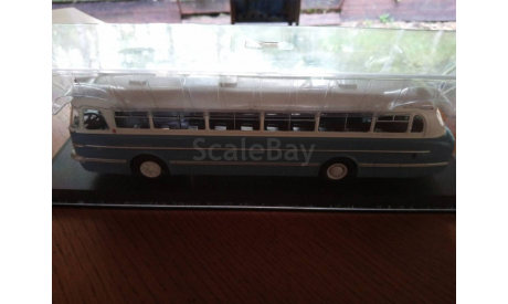 Икарус 55, масштабная модель, Classicbus, scale43, Ikarus