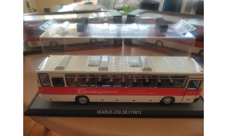 Ikarus 250.58 Беларусь, масштабная модель, Classicbus, scale43