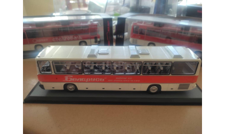 Ikarus 250.58 Беларусь, масштабная модель, Classicbus, scale43