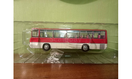 Икарус 256.54, масштабная модель, Classicbus, scale43, Ikarus