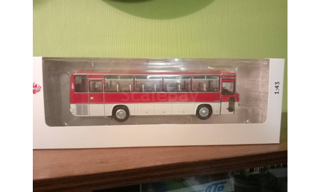 Икарус 256.54, масштабная модель, Classicbus, scale43, Ikarus