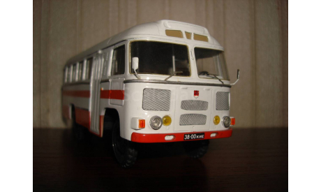 паз3201, масштабная модель, финоко, scale43