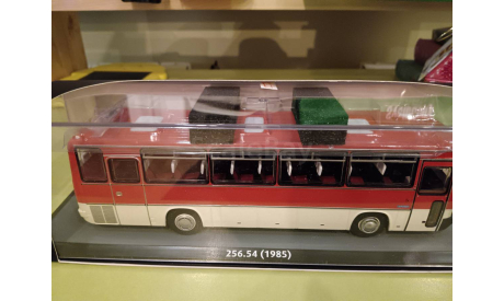 С 1 рубля! Икарус 256.54 (1985) c номерами Classicbus, масштабная модель, Ikarus, 1:43, 1/43