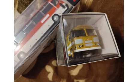 ПАЗ-672 Охра, белые полосы ClassicBus, масштабная модель, scale43