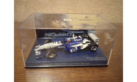 1/43 Minichamps F1 Williams BMW FW25 Montoya, масштабная модель, scale43