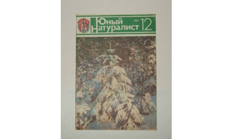 Журнал Юный натуралист № 12 1981 год СССР, литература по моделизму