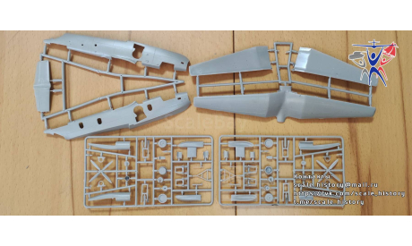 Модель самолета Бе-12, сборные модели авиации, Amodel, scale144