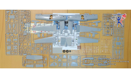 Модель самолета Бе-12ПС, сборные модели авиации, ModelSvit, scale72