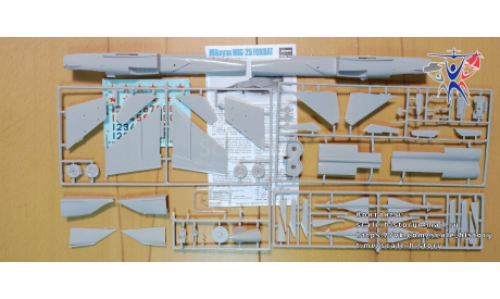 Модель самолета МиГ-25, сборные модели авиации, Hasegawa, scale72