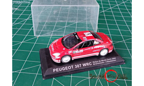 ПЕЖО 307 WRC Peugeot, масштабная модель, IXO Rally (серии RAC, RAM), 1:43, 1/43