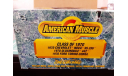 American muscle 1970 Ertl, масштабная модель, ERTL (Auto World), 1:43, 1/43