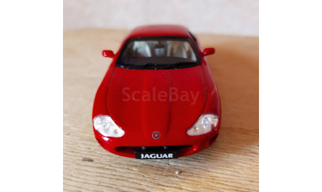 Jaguar XKR / XK8, масштабная модель, Autoart, scale43