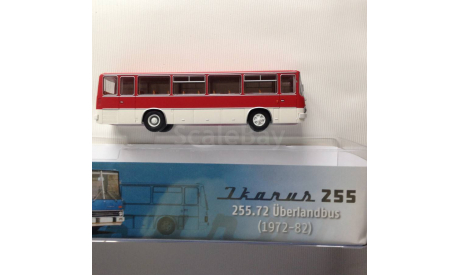 1:87 Автобус Ikarus 255.72, (HO) Brekina, масштабная модель, 1/87