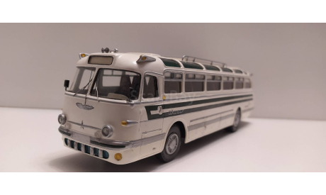 Икарус-55 пригород Ikarus-55 Vector-Models Вектор-Модельс, масштабная модель, scale43