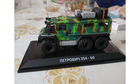 Петрович 354-60 DIP Models, масштабная модель, scale43