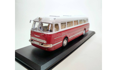 Автобус Ikarus 55.14 Lux (красный/белый) Икарус ClassicBus М.0550, масштабная модель, scale43
