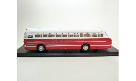 Автобус Ikarus 55.14 Lux (красный/белый) Икарус ClassicBus М.0550, масштабная модель, scale43