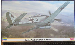 Штурмовик Focke Wulf FW 190F-8 ‘KG200’ Hasegawa 07352 1/48 возможен обмен