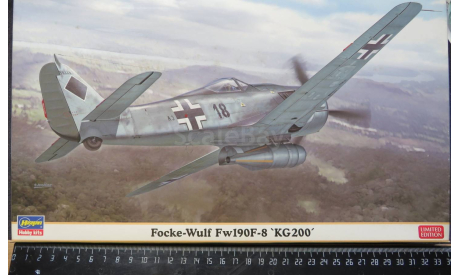 Штурмовик Focke Wulf FW 190F-8 ‘KG200’ Hasegawa 1/48 Пакет с деталями не открывался. возможен обмен, масштабные модели авиации, scale48