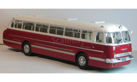 Икарус 55 бордовый первая партия Классикбас, масштабная модель, scale43, Classicbus, Ikarus