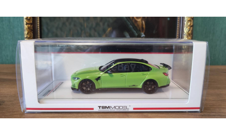 TSM model, масштабная модель, scale43, BMW