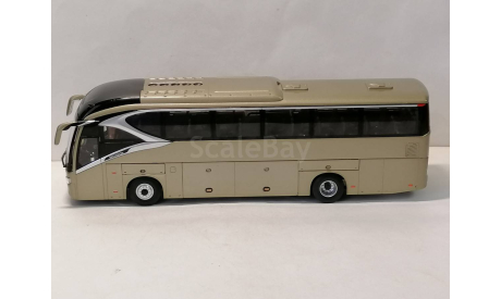 Автобус Golden Dragon XML6129 1:42, масштабная модель, Китай, scale0