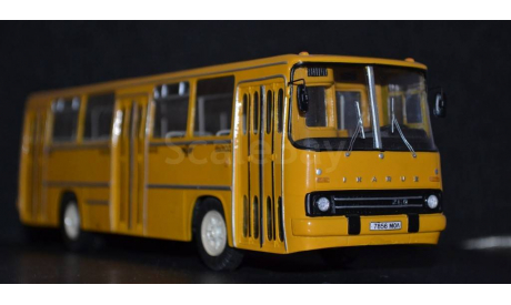 Икарус 260.00 городской / 73 г, масштабная модель, 1:43, 1/43, Vector-Models, Ikarus