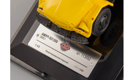 АМУР 531310 ГОРГАЗ г. Ростов 2005 1:43 DIPmodels, масштабная модель, 1/43