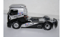 Mercedes-Benz Race Truck №6 Mobil 1 Delvac,Minichamps, масштабная модель, 1:43, 1/43