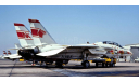 F-14A Tomcat NK102, USS Enterprise 1976,Hobby Master, масштабные модели авиации, scale72, Grumman
