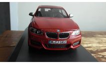 РАСПРОДАЖА BMW 2 Series Coupe PARAGON, масштабная модель, Paragon Models, scale43