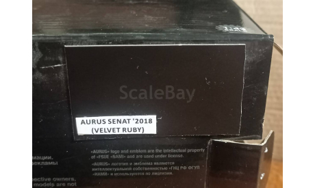 Aurus Senat S600 1:43, масштабная модель, DiP Models, scale43