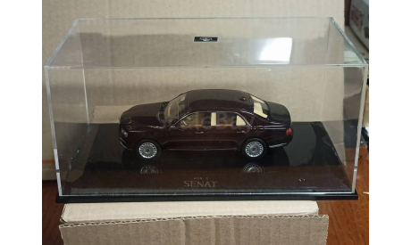 Aurus Senat S600 1:43, масштабная модель, DiP Models, scale43