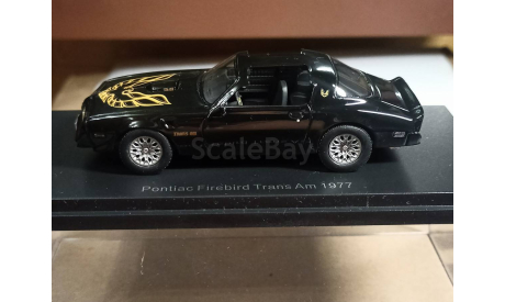 Pontiac Firebird Trans Am 1977 1:43, масштабная модель, Best of Show, scale43