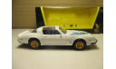 PONTIAC FIREBIRD TRANS AM 1979, масштабная модель, scale0