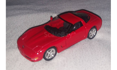 Chevrolet Corvette C5, масштабная модель, Road Champs, scale43