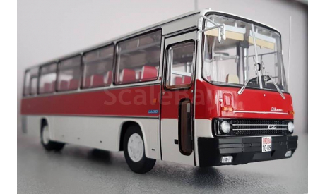 IKARUS 256.51 (1985), бело-бордовый, масштабная модель, Classicbus, scale43