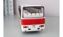 IKARUS 256.51 (1985), бело-бордовый, масштабная модель, Classicbus, scale43