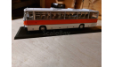 IKARUS 250.58 ClassicBus, масштабная модель, scale43