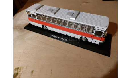 IKARUS 250.58 ClassicBus, масштабная модель, scale43