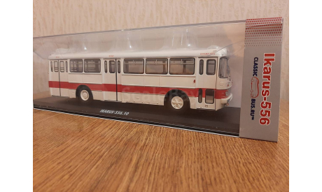 Масштабная модель Икарус 556.10, масштабная модель, Classicbus, scale43, Ikarus