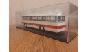 Масштабная модель Икарус 556.10, масштабная модель, Classicbus, scale43, Ikarus