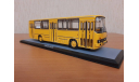 Икарус 260.01 с номерами и маршрутом, масштабная модель, Ikarus, Classicbus, scale43