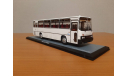 Масштабная модель Икарус 256.54 белый, масштабная модель, Ikarus, Classicbus, scale43