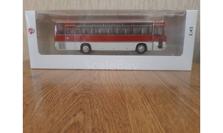 Масштабная модель Икарус 256.54 шарлах, масштабная модель, DEMPRICE, scale43, Ikarus