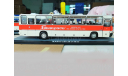 Масштабная модель IKARUS 250.58 ’Беларусь’, масштабная модель, Classicbus, scale43