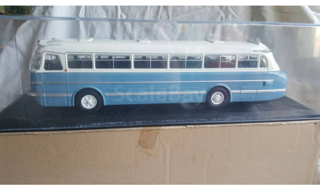 Икарус (Ikarus) 55 Classic Bus, масштабная модель, Classicbus, scale43