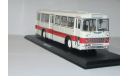 Икарус-556.10 с номерами.ClassicBus., масштабная модель, Ikarus, scale43