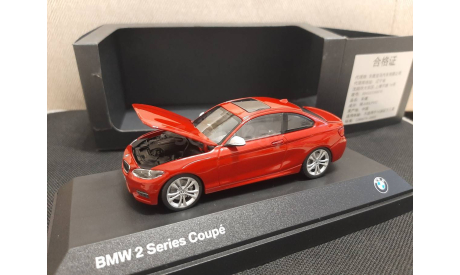 BMW 2 series coupe, масштабная модель, Paragon Models, scale43